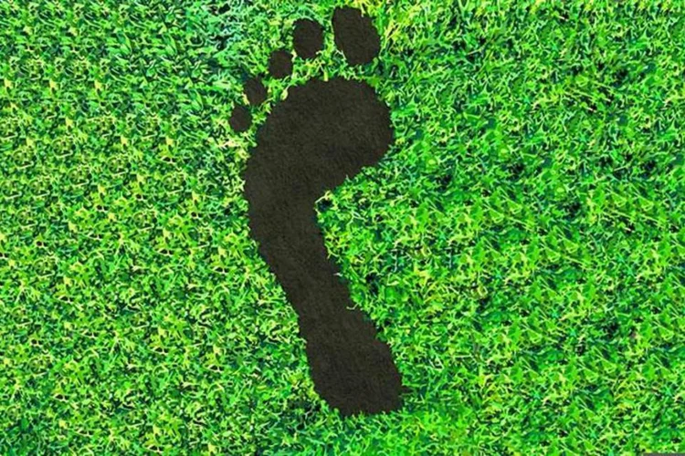 
	Pegada: certificado permite comparar as vantagens ambientais de produtos brasileiros aos de competidores internacionais.
 (Thinckstock)