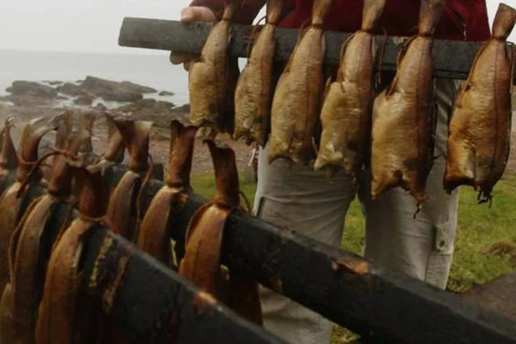 Peixe frito: pesca e aquicultura são o meio de subsistência para 8% da população mundial (Jeff J Mitchell/Getty Images)