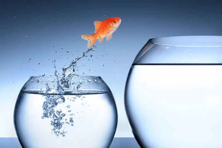 peixe pequeno, crescimento, small cap (Thinkstock)