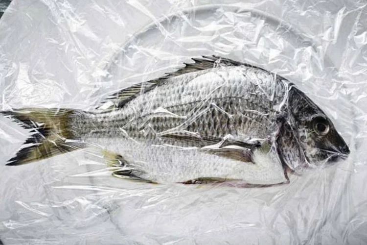 
	Peixe: o sensor &eacute; capaz de detectar a histamina, uma subst&acirc;ncia gerada quando as bact&eacute;rias come&ccedil;am a decompor os amino&aacute;cidos dos alimentos
 (Thinckstock)