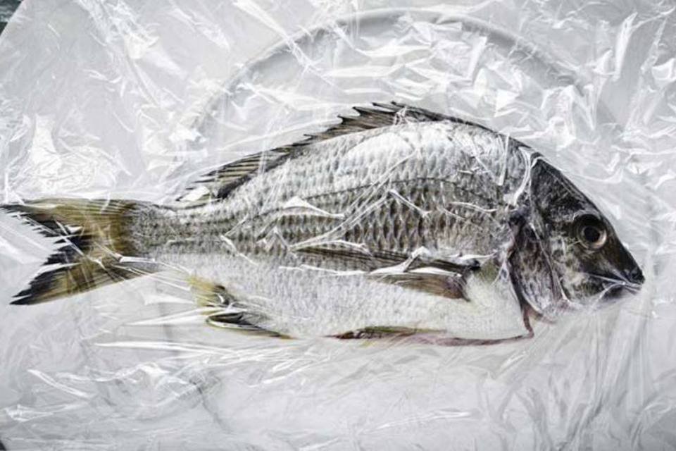 Poluição dá origem a 'ingrediente indigesto' no peixe