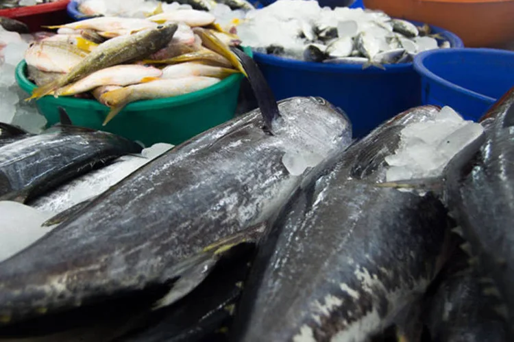Peixe congelado (Freeimages)