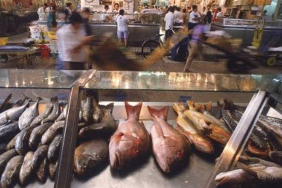 Consumo de peixe aumenta 40% e país já precisa importar