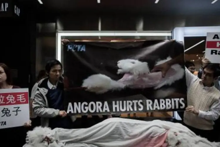 Manifestação em Hong Kong contra os maus-tratos a coelhos na produção da pele (Philippe Lopez/AFP)