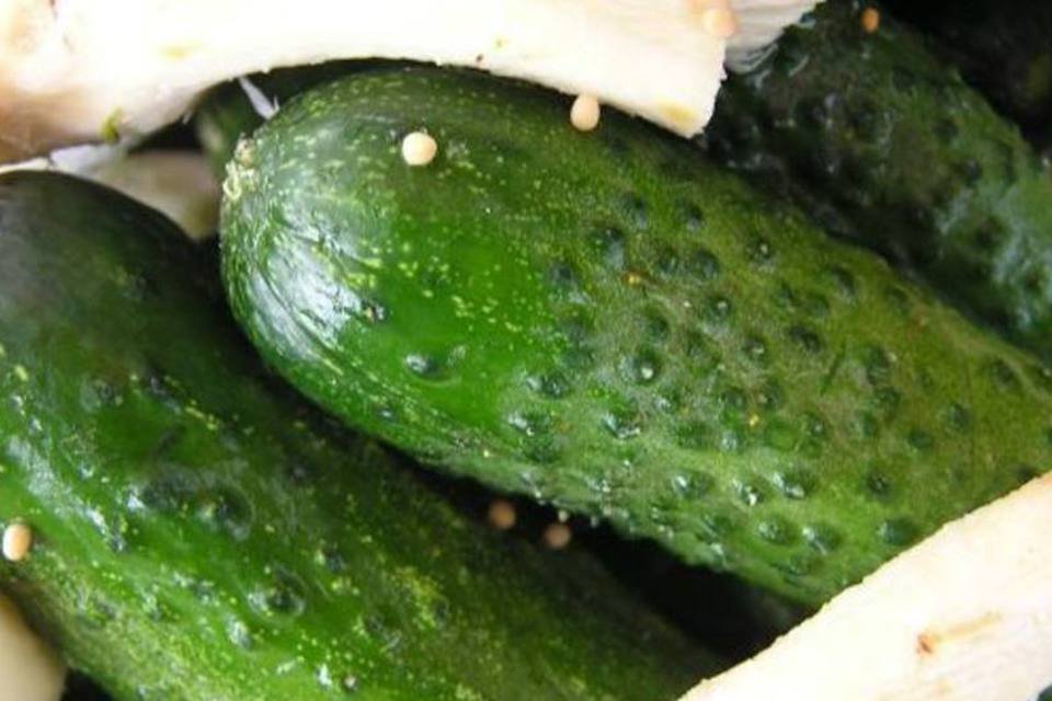 Pepino com variante da "E. coli" é encontrado em lixo