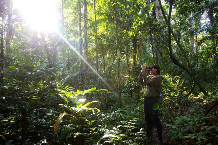 
	Amaz&ocirc;nia: &ldquo;O maior desafio &eacute; justamente estabelecer esse di&aacute;logo e um esfor&ccedil;o conjunto para alcan&ccedil;ar as metas determinadas no Acordo de Paris&quot;
 (REUTERS/Enrique Castro-Mendivil)