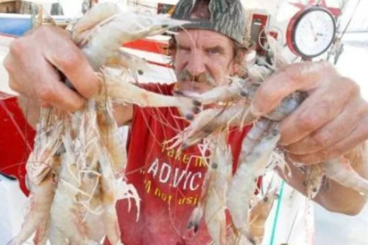 Pescador segura camarões em seu barco durante o 75º Festival do Camarão e do Petróleo, na Louisiana (.)