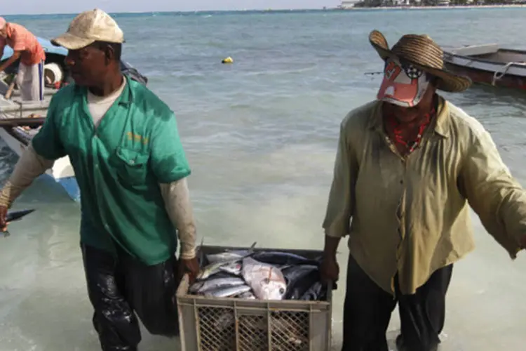 
	Pescadores colombianos carregam peixes para o porto da ilha de San Andres
 (REUTERS)