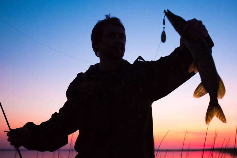 Pescador transformou US$ 80 em US$ 1,1 bi com peixe impopular