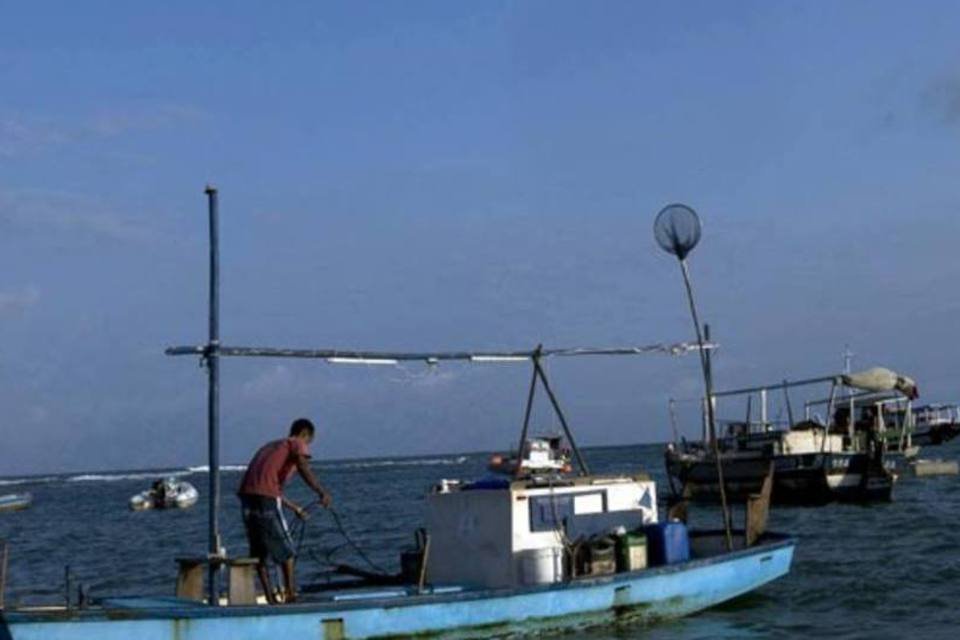 Governo estuda desonerar pesca nacional