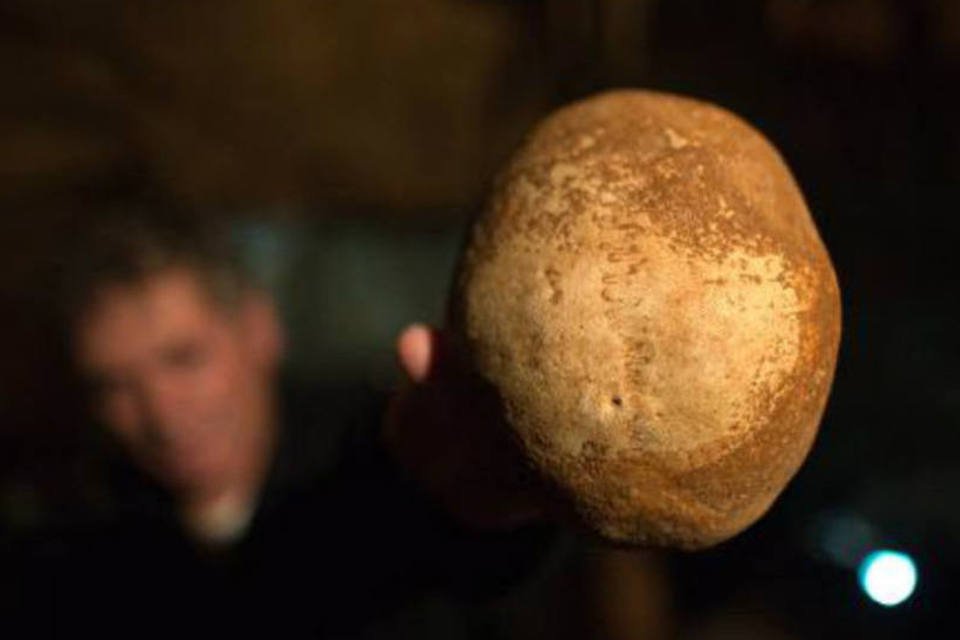 Humanos modernos e neandertais conviveram no Oriente Médio