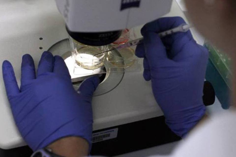 Britânicos lançam pesquisa de células-tronco para coração
