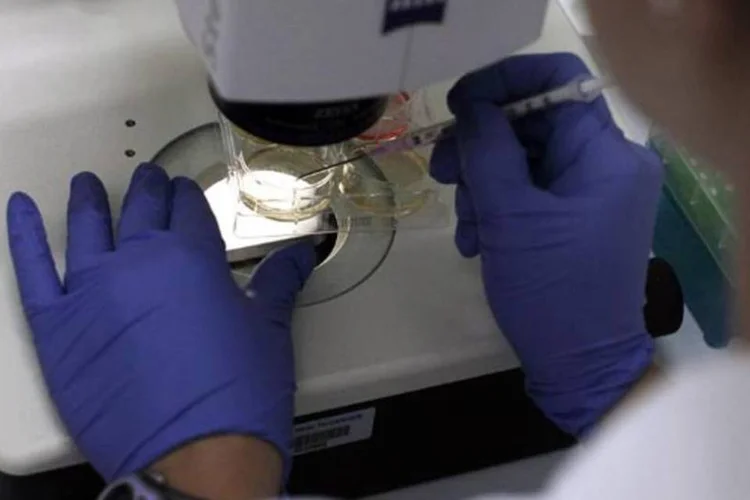 Microscópio: descoberta indica que a infecção surgiu entre os humanos mais recentemente do que se pensava (foto/Getty Images)