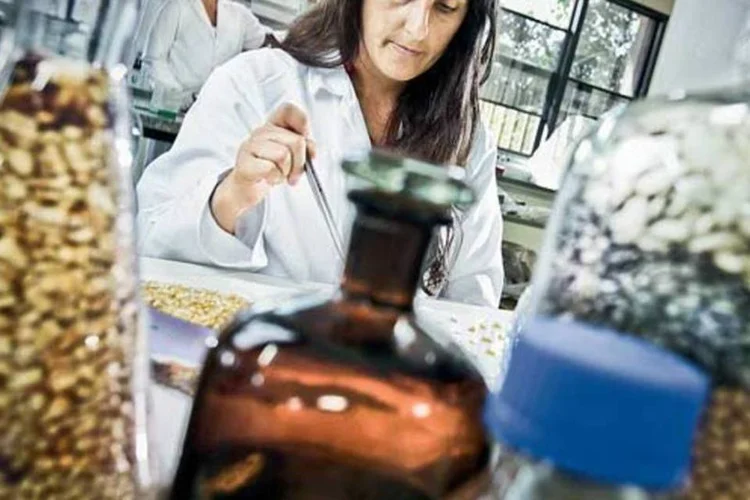 Laboratório da Embrapa, em Brasília: justificativas técnicas não comoveram a diretoria da Embrapa (Cristiano Mariz/Exame)