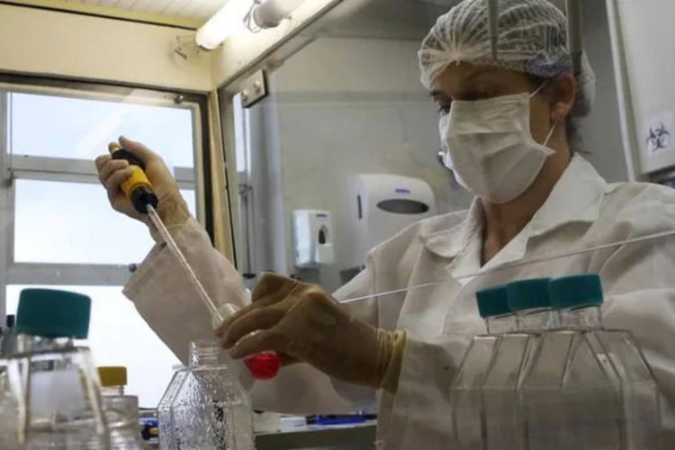
	Zika: com sequenciamento do genoma, eles identificaram a ordem completa das informa&ccedil;&otilde;es gen&eacute;ticas do v&iacute;rus
 (Paulo Whitaker / Reuters)