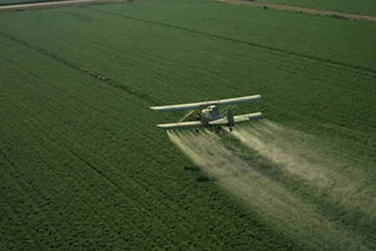 Pesticida: a exposição aos pesticidas tem uma variedade de consequências irreversíveis para a saúde, como câncer, alzheimer e parkinson (Charles ORear/USDA/Reprodução)