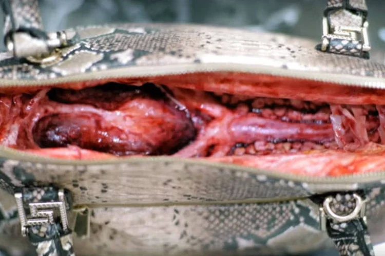 Campanha da Peta: loja falsa com produtos de couro para chocar clientes (Reprodução)