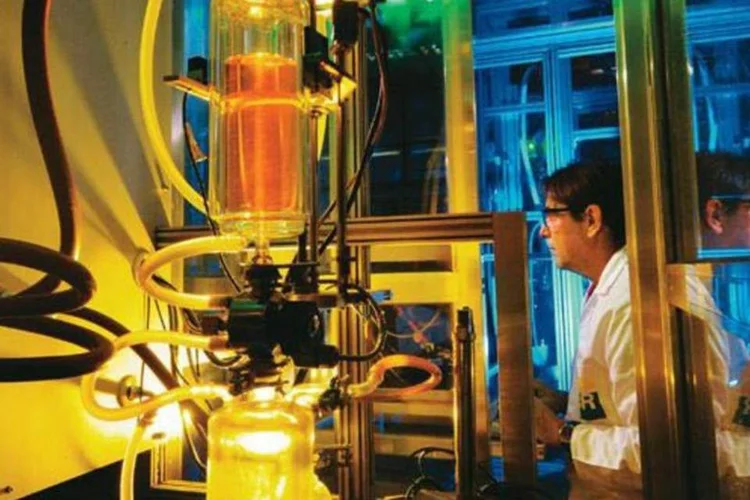 6 - Petrobras (André Valentim/EXAME.com)