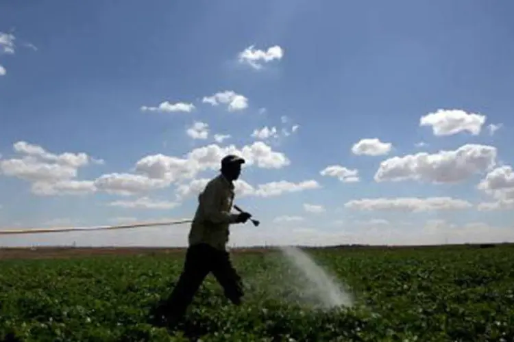 Fazendeiro molha o arado: "se houver uma terceira guerra mundial, esta será pela água", diz especialista (Mohammed Abed/AFP)