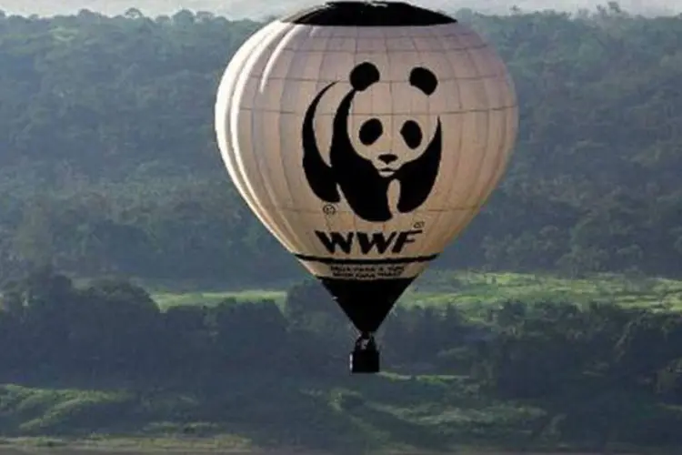Balão com o símbolo da WWF: "depois de 25 anos de relatórios do IPCC, a verdade incômoda se confirma", dizem ONGs em comunicado (Evaristo Sa/AFP)