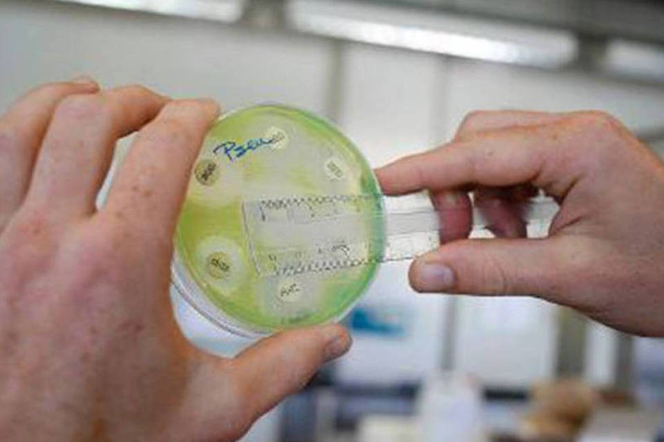 Pesquisadores patenteiam composto contra bactéria de febre