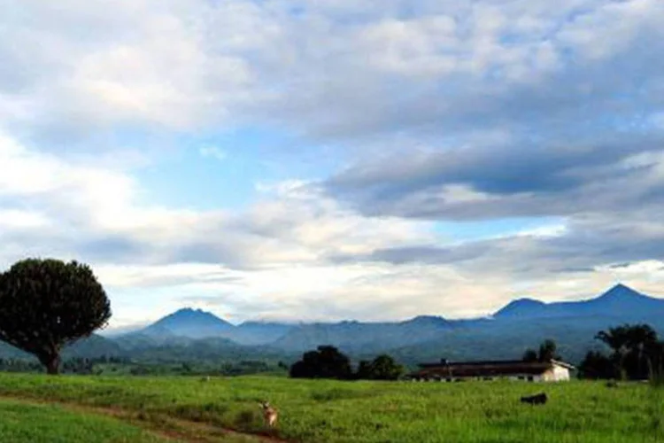 Parque Nacional de Virunga, na República Democrática do Congo: atividades da companhia Soco International deixam "pessoas, animais e habitats em risco", diz WWF (Riccardo Gangale/AFP)
