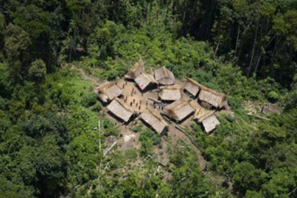 Amazônia brasileira vive momento delicado