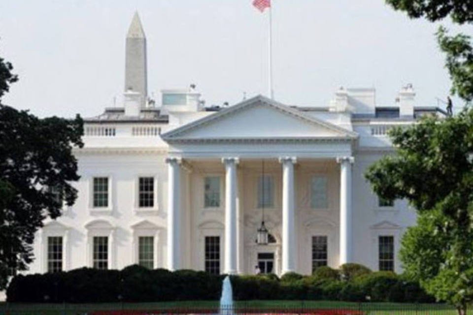 Ativistas são presos por se algemarem à Casa Branca