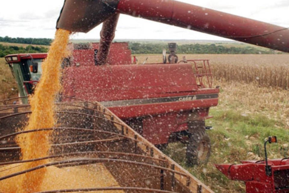 Safra de grãos será 2,2% maior que em 2013