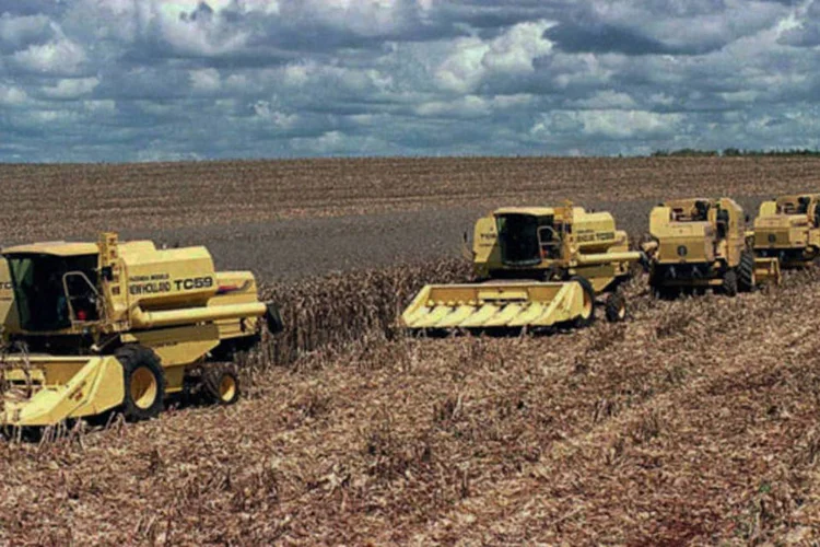 Colheita de grãos: safras devem crescer 16,1% em 2013, enquanto a área colhida deve expandir 8,2, segundo levantamento (ABr)