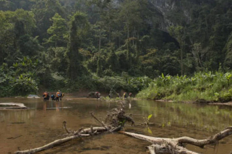 
	Floresta no Vietn&atilde;: os dois homens, levados outra vez &agrave; aldeia &agrave; for&ccedil;a em agosto de 2013, exibem um olhar perdido
 (Getty Images)