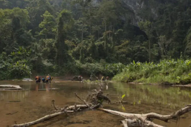 
	Floresta no Vietn&atilde;: equipe precisou entrar 40 quil&ocirc;metros na selva para resgatar pai e filho
 (Getty Images)