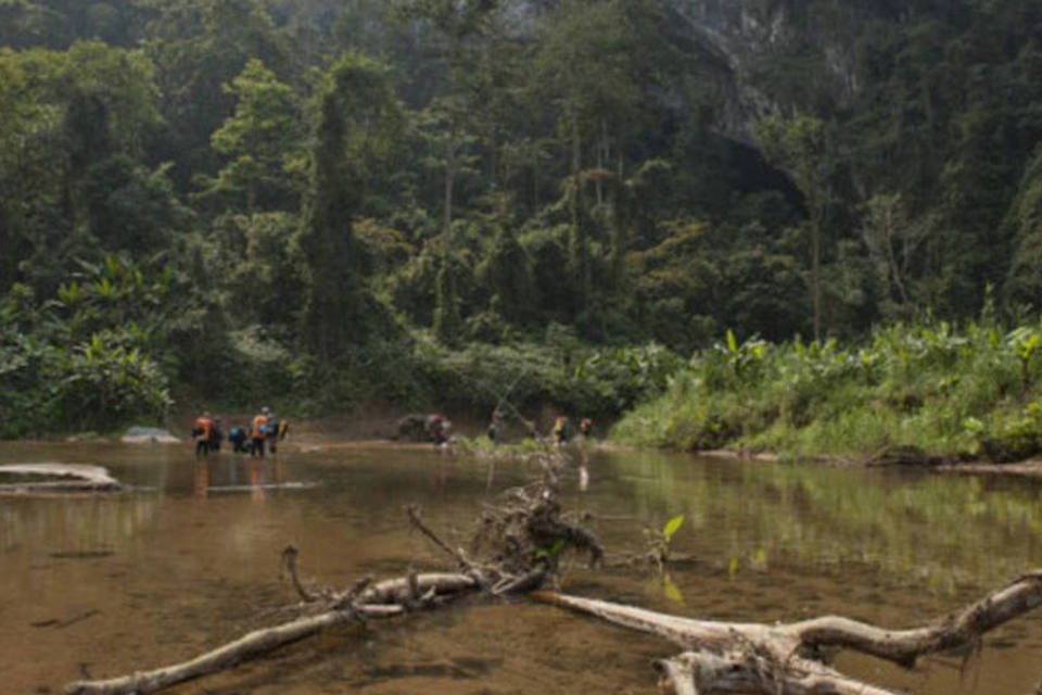 Pai e filho viviam na selva desde a guerra do Vietnã