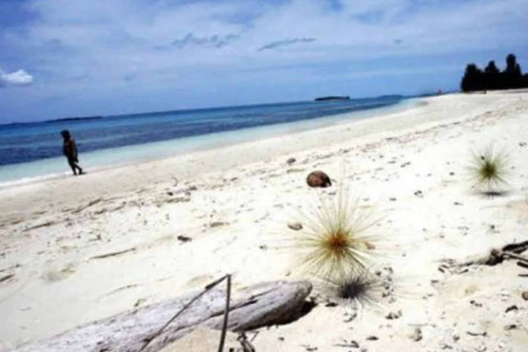 Praia nas Ilhas Molucas: o tubarão anda durante a noite pelo oceano em busca de peixes e mariscos (AFP)
