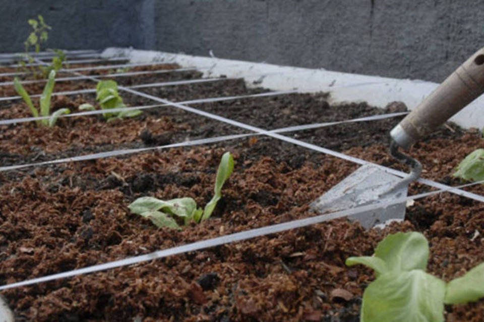 Senado garante status de seguradas especiais a agricultoras