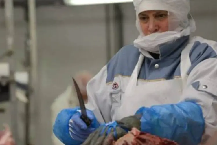
	Trabalhador corta carne na Rom&ecirc;nia: carne de cavalo foi classificada como carne bovina em alimentos congelados
 (Daniel Mihailescu/AFP)