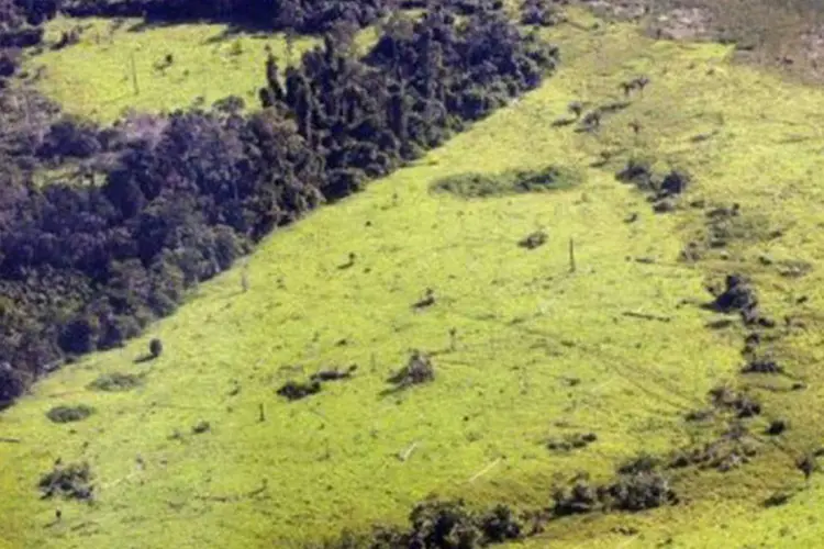 
	Mato Grosso foi respons&aacute;vel por 48% das atividades de devasta&ccedil;&atilde;o da floresta registradas pelos sat&eacute;lites do Inpe, sendo o Estado que mais desmatou a &aacute;rea no segundo bimestre de 2013
 (Antonio Scorza/AFP)