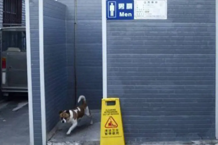 
	Cachorro &eacute; visto saindo de banheiro p&uacute;blico em Pequim: al&eacute;m disso, o odor nos locais em quest&atilde;o dever&aacute; ser controlado para que n&atilde;o incomode.
 (Wang Zhao/AFP)