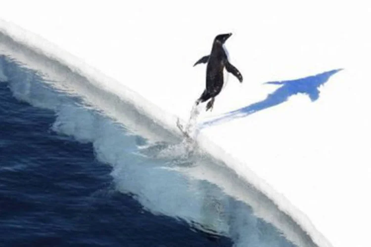 
	Degelo da Ant&aacute;rtica: o aquecimento na Ant&aacute;rtica alcan&ccedil;ou um n&iacute;vel no qual at&eacute; leves aumentos de temperatura podem provocar uma forte acelera&ccedil;&atilde;o do degelo
 (AFP)