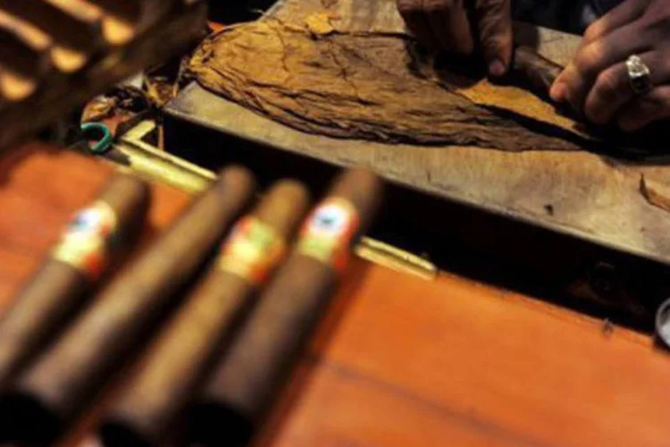 
	Fabrica&ccedil;&atilde;o de charutos na Nicar&aacute;gua: durante seis meses, os cinco membros do comit&ecirc; de degusta&ccedil;&atilde;o experimentaram 700 charutos
 (Hector Retamal/AFP/AFP)