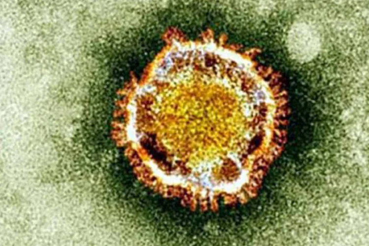 
	Primeiro caso do v&iacute;rus Mers foi registrado nos Estados Unidos
 (AFP)
