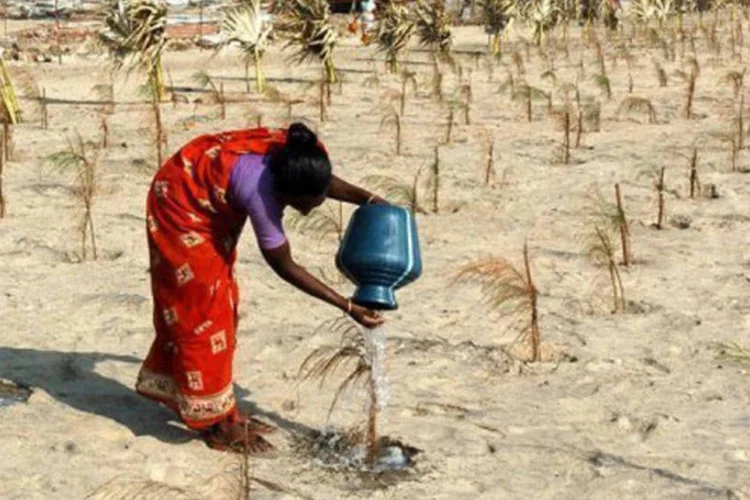 
	Indiana rega uma &aacute;rvore, em Nagapattinam: a urbaniza&ccedil;&atilde;o vertiginosa, a mudan&ccedil;a clim&aacute;tica e a crescente demanda da agricultura aumentam a press&atilde;o sobre a &aacute;gua
 (Dibyangshu Sarkar/AFP)