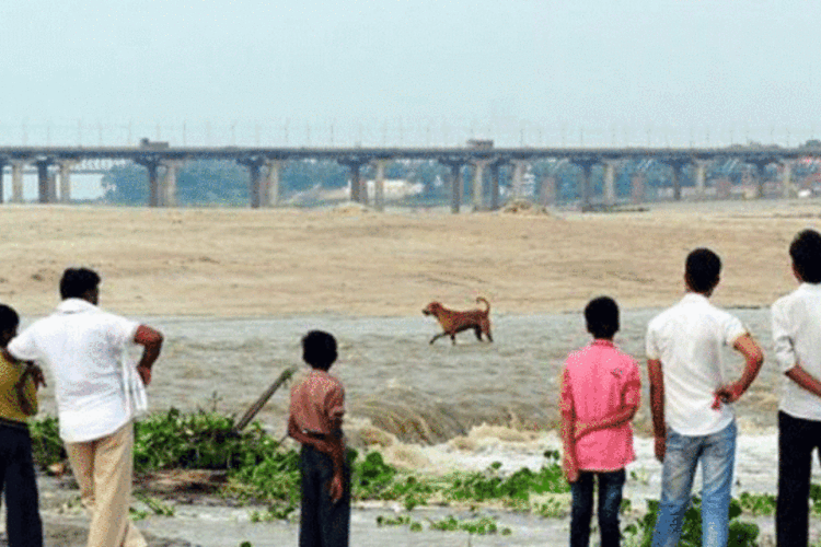 Indianos observam a cheia do rio Ganges: após fortes chuvas, as cheias dos rios arrastou casas, prédios e vilarejos (Sanjay Kanojia/AFP)