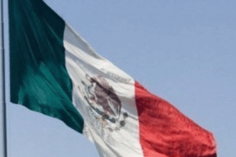 México: crânios e os restos de várias partes de corpos foram retirados de oito túmulos sem identificação (AFP/AFP)