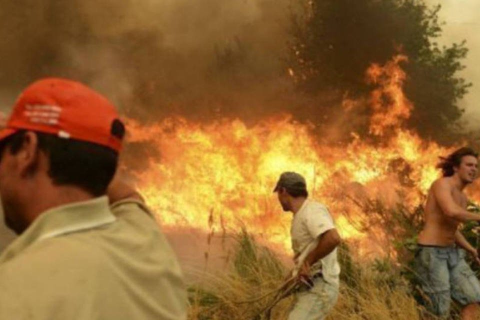 Incêndios destroem 40 mil hectáres de floresta em Portugal