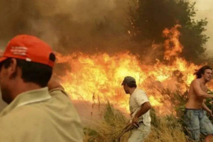 
	Bombeiros tentam apagar fogo em floresta de Portugal: tr&ecirc;s bombeiros ficaram feridos, um deles com gravidade, quando lutavam contra as chamas em Trancoso
 (©afp.com / Francisco Leong)