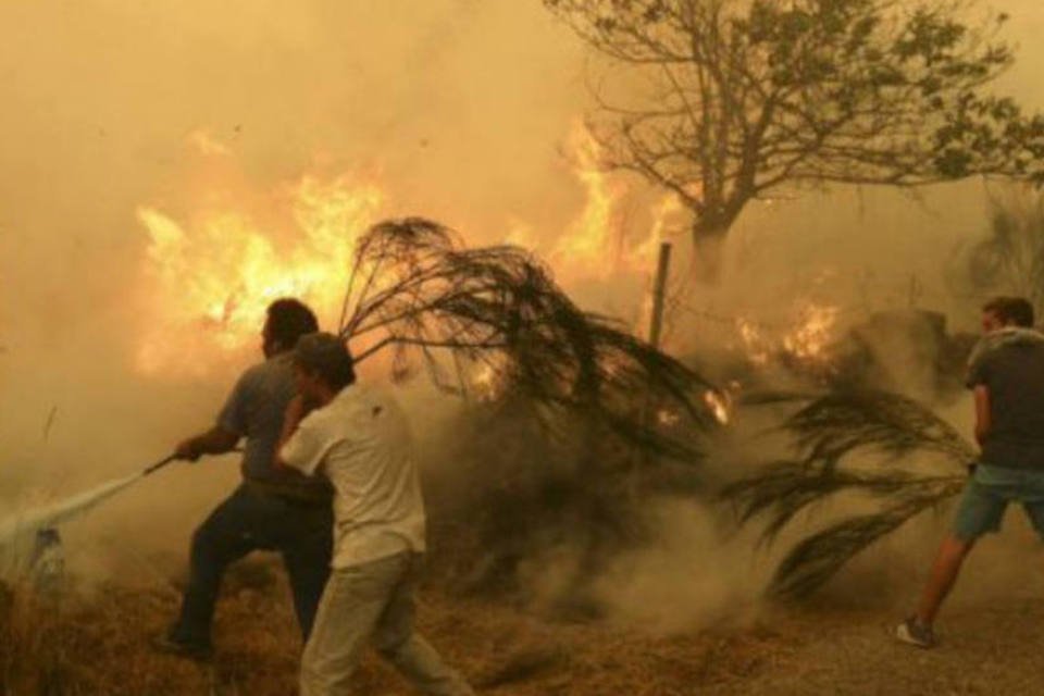 Incêndios em Portugal consumiram 94 mil hectares até agosto