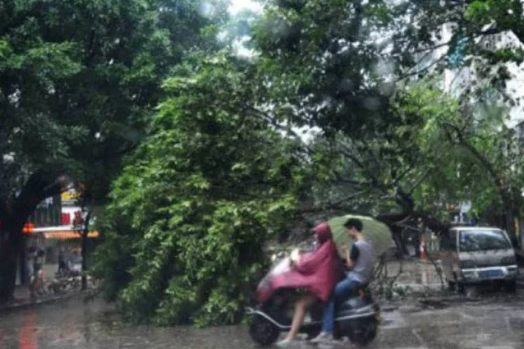 
	Moto tenta passar por via com &aacute;rvore derrubada: 13 das 21 pessoas que morreram na regi&atilde;o estavam na cidade de Shanwei
 (AFP)