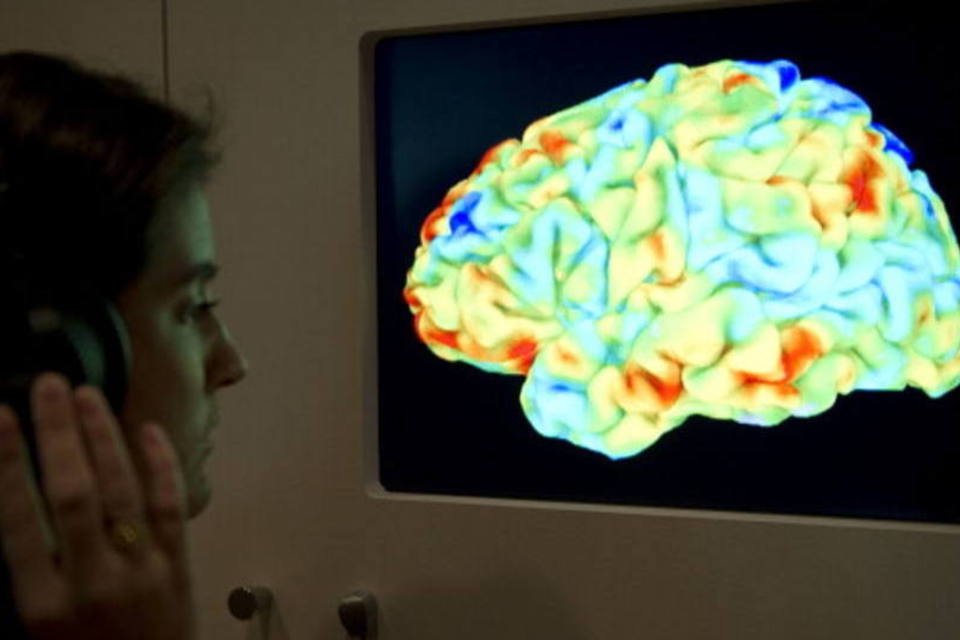 São identificadas regiões cerebrais que geram as estratégias