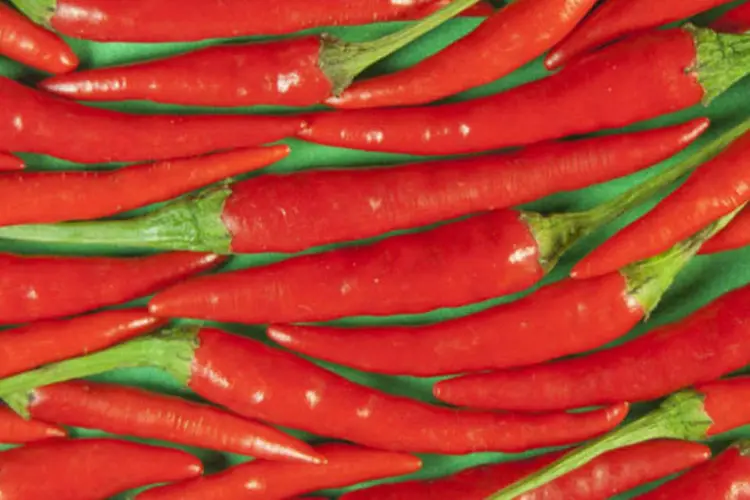 
	Estudos revelaram que a pimenta pode inibir o apetite e ajudar a perder gordura abdominal
 (Irina Naumets / Stock Xchng)